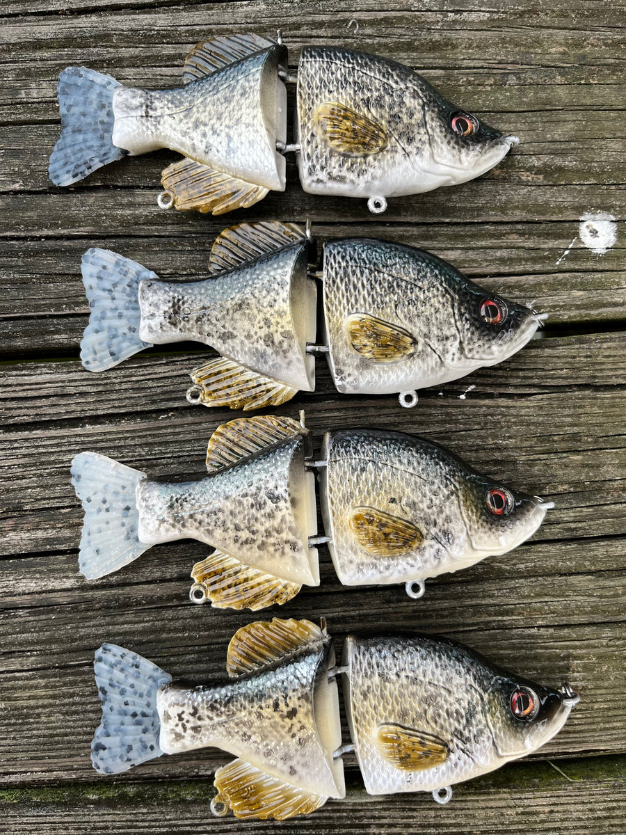 6” Baby Crappie – Grove's Bait Company