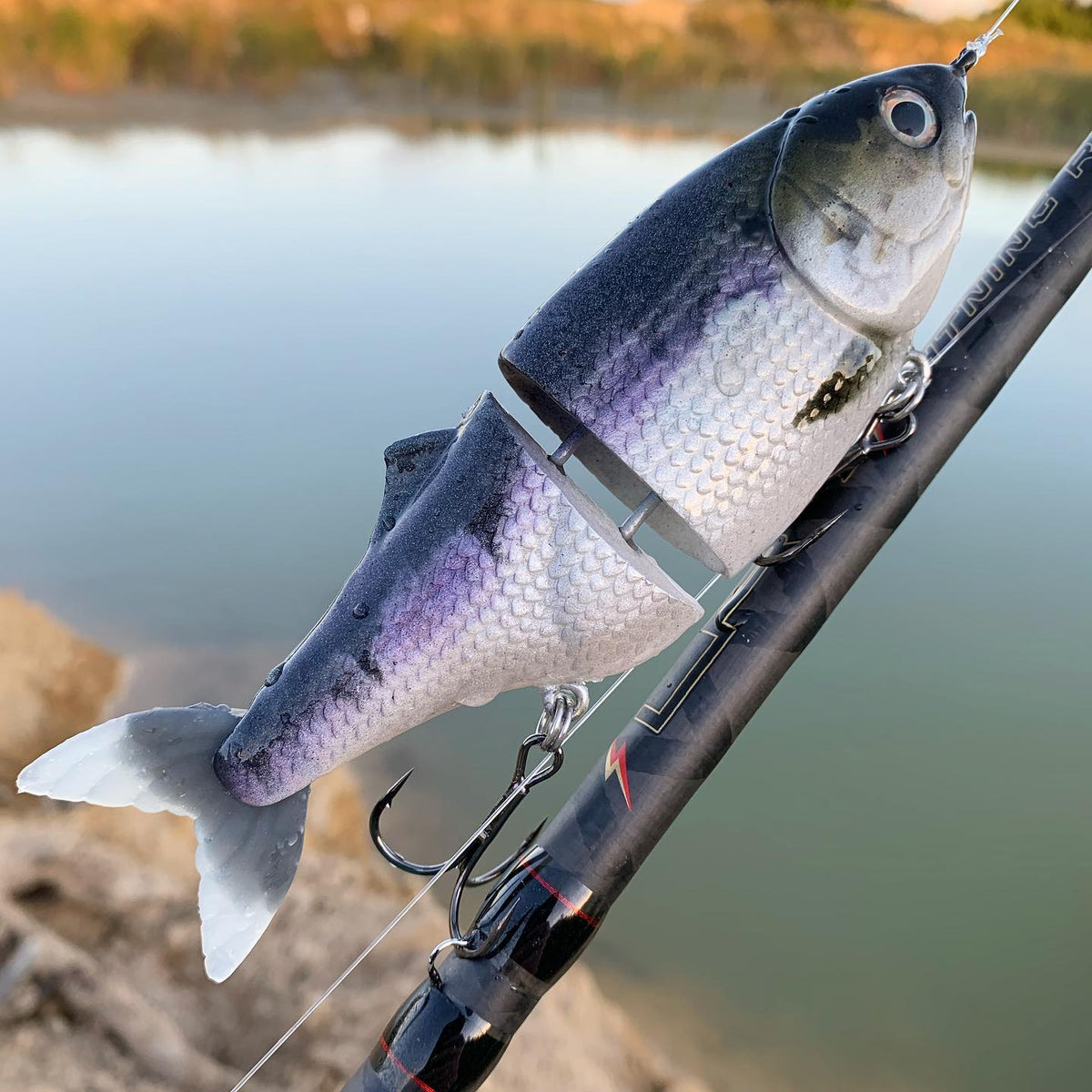 6'' Shad - Main Image