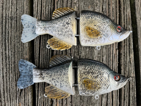 6” Baby Crappie