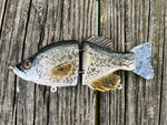 6” Baby Crappie