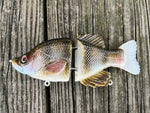 6” Baby Crappie