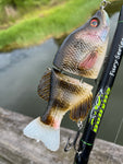 6” Baby Crappie