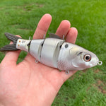 6'' Multi- Joint Shad