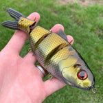 6'' Multi- Joint Shad