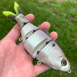 6'' Multi- Joint Shad